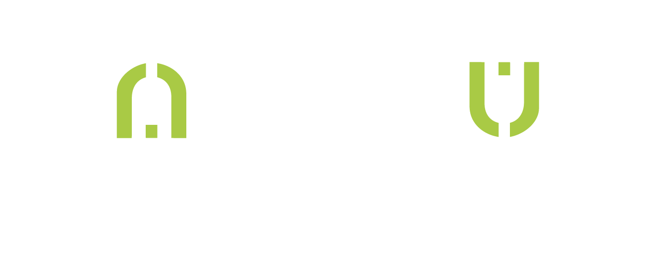 enerplug